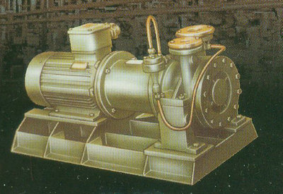 MT-COP磁驅(qū)動(dòng)AY離心油泵